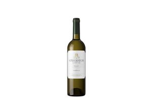 8410849004114 - Viña Mayor Verdejo 2022 - 75cl