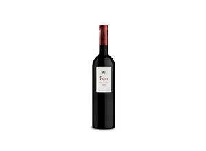 8411528001233 - Bodegas Aragonesas Fagus 2020 - 75cl