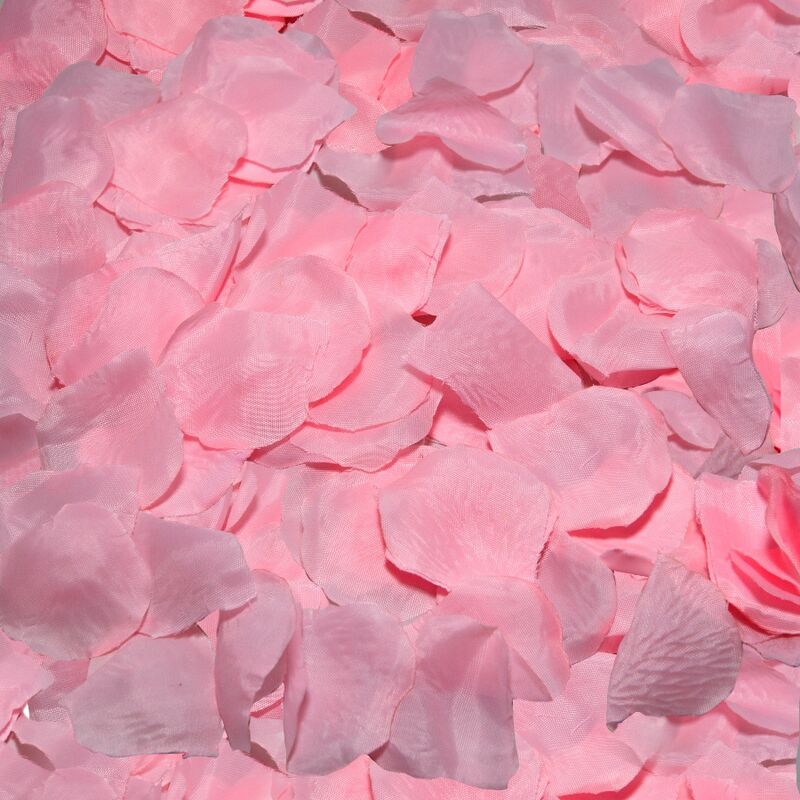 8412345037634 - - 100 ROSA BLÄTTER 8412345037634 - - 100 ROSA BLÄTTER