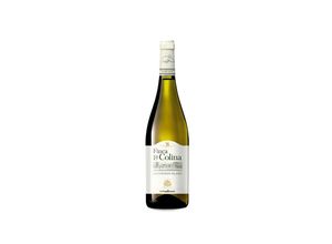 8413181000066 - Vinos Sanz Finca La Colina Sauvignon Blanc 2022 - 75cl