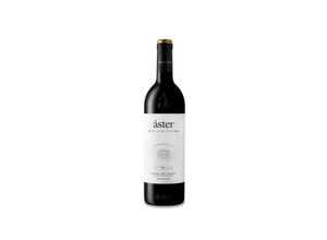 8413529061001 - Áster Finca El Otero 2019 - 75cl