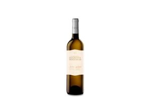 8414219000331 - Bodega Cuatro Rayas Cuatro Rayas Cuarenta Vendimias Sauvignon Blanc 2023 - 75cl 8414219000331 - Bodega Cuatro Rayas Cuatro Rayas Cuarenta Vendimias Sauvignon Blanc 2023 - 75cl