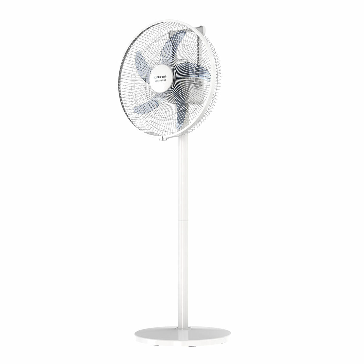 8414234446787 - Freistehender Ventilator Taurus
