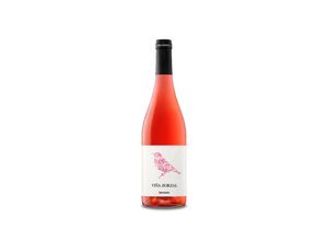 8414319002303 - Proyecto Zorzal Viña Zorzal Garnacha Rosado 2022 - 75cl