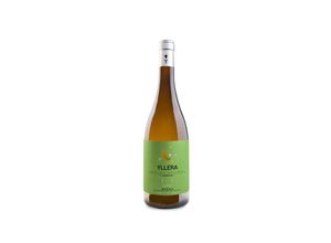 8420378000792 - Yllera Verdejo Vendimia Nocturna 2022 - 75cl