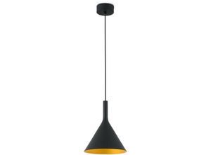 8421776066083 - Faro Pam-G - led Large Dome Deckenpendelleuchte Schwarz Gold