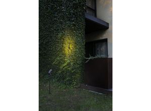 8421776167483 - LED-Erdspießleuchte Slot 50 cm