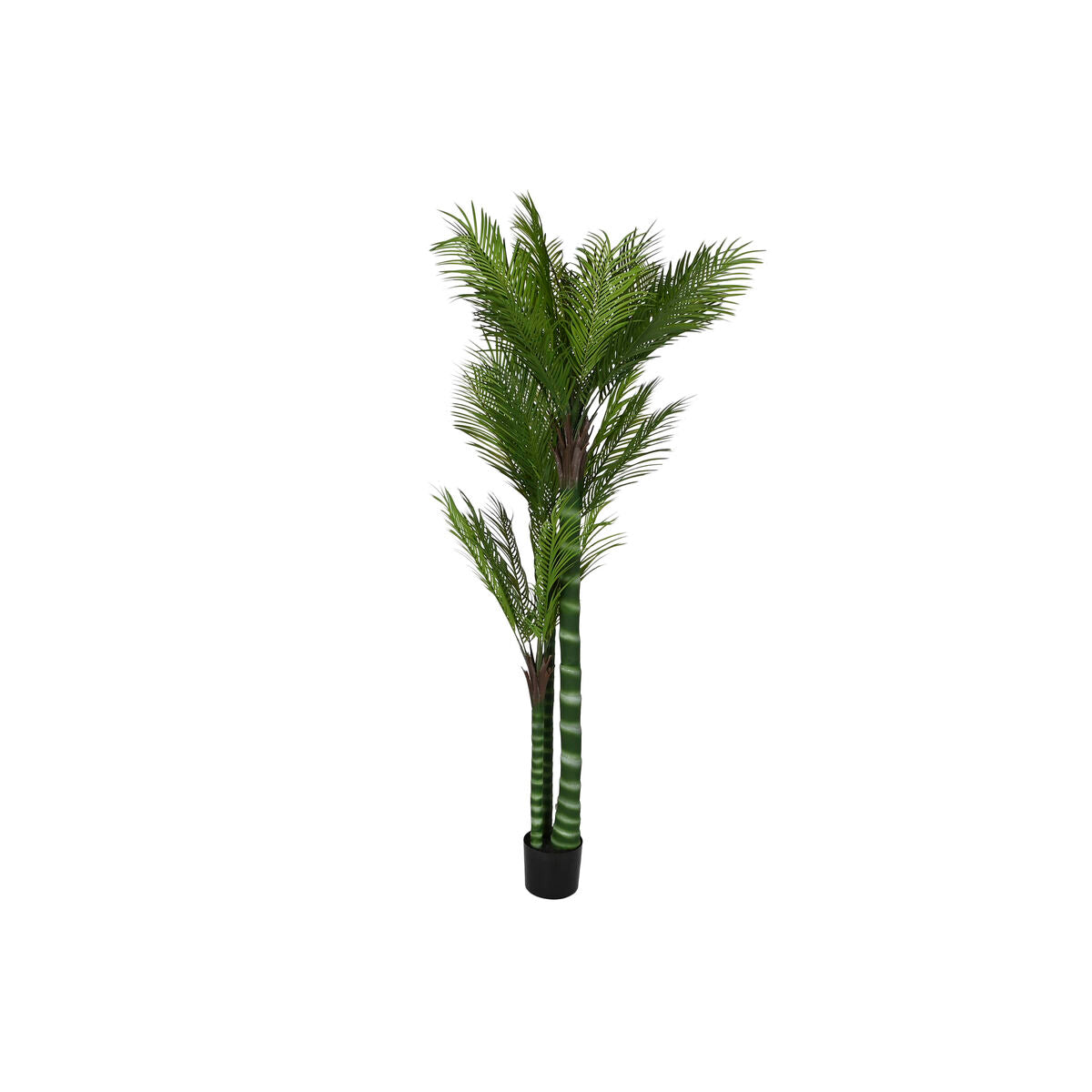 8424002109004 - Dekorative Pflanze Haus Esprit Polyethylen Zementpalme 100 x 100 x 235 cm 8424002109004 - Dekorative Pflanze Haus Esprit Polyethylen Zementpalme 100 x 100 x 235 cm
