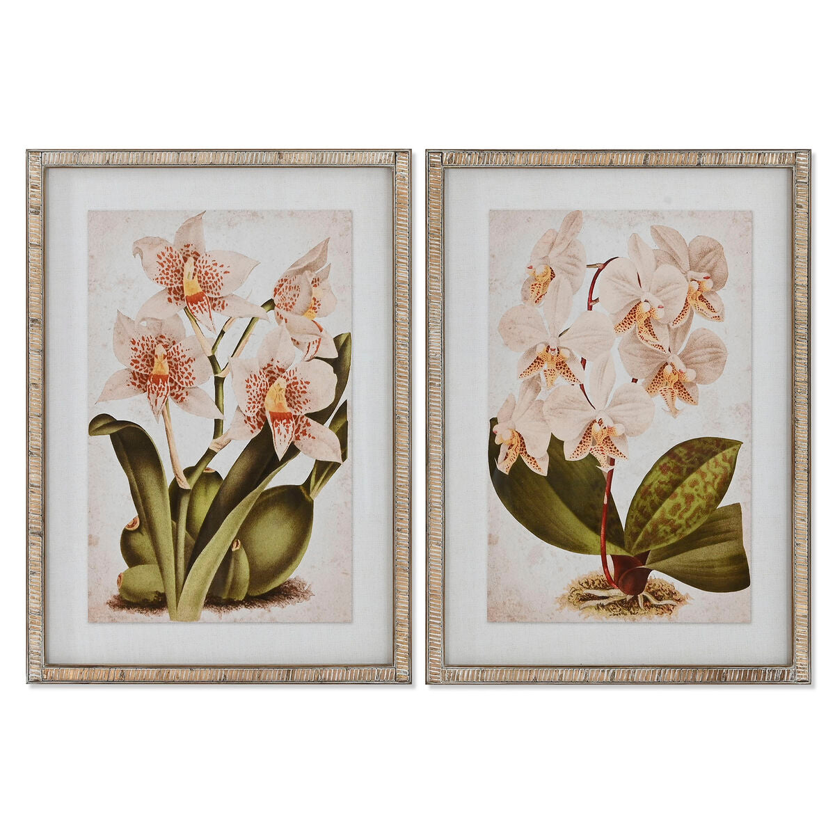 8424002120726 - Painting Tropical Orchid 50 x 25 x 70 cm (2 Units)