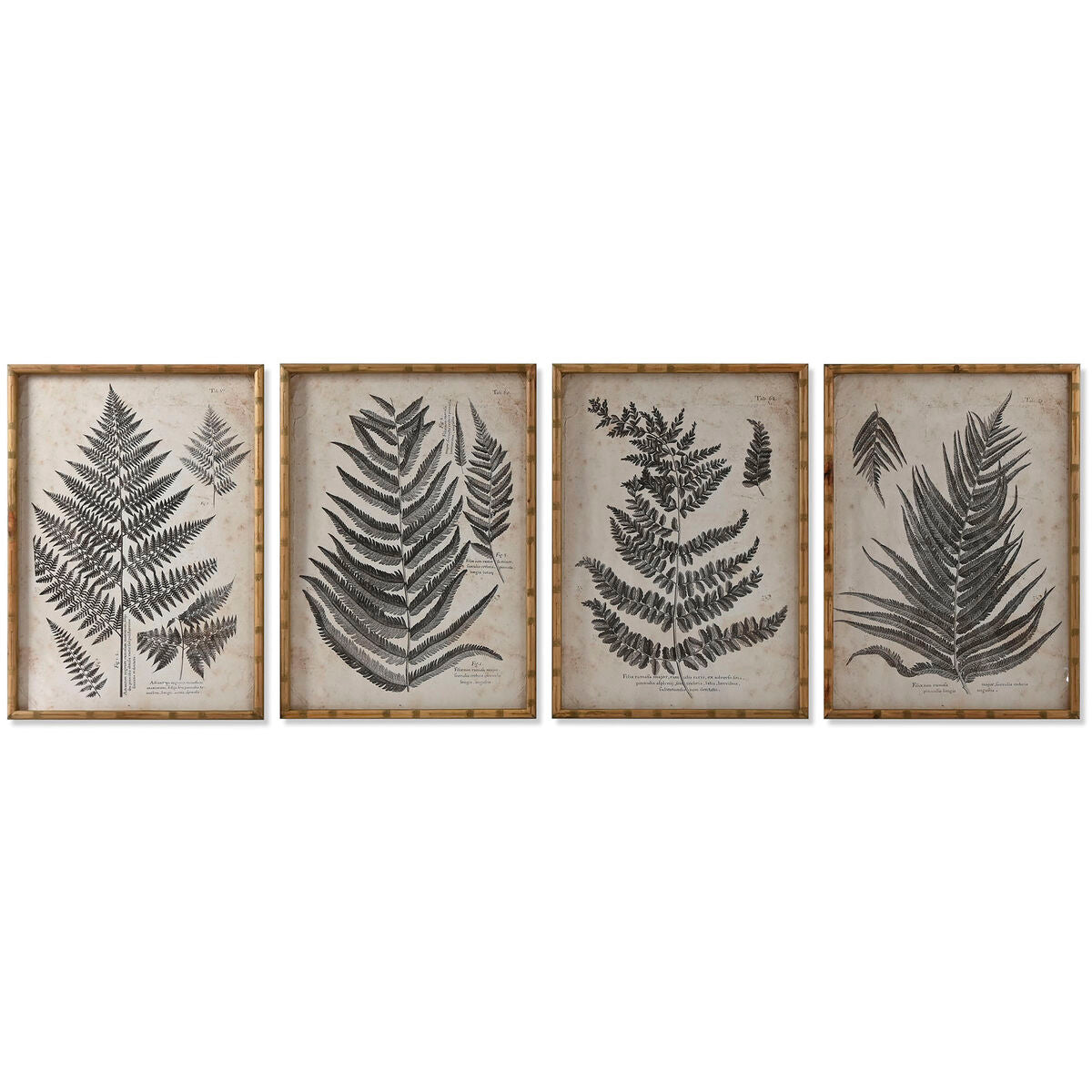 8424002120788 - Painting Fern Cottage 50 x 25 x 70 cm (4 Units)