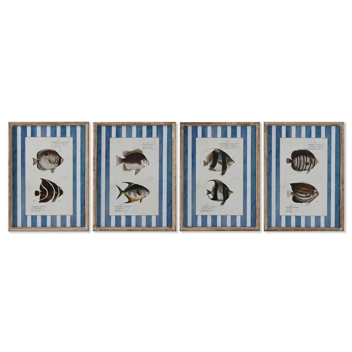 8424002180416 - Gemälde nach Hause Esprit Blue Fish 40 x 25 x 55 cm (4 Einheiten) 8424002180416 - Gemälde nach Hause Esprit Blue Fish 40 x 25 x 55 cm (4 Einheiten)