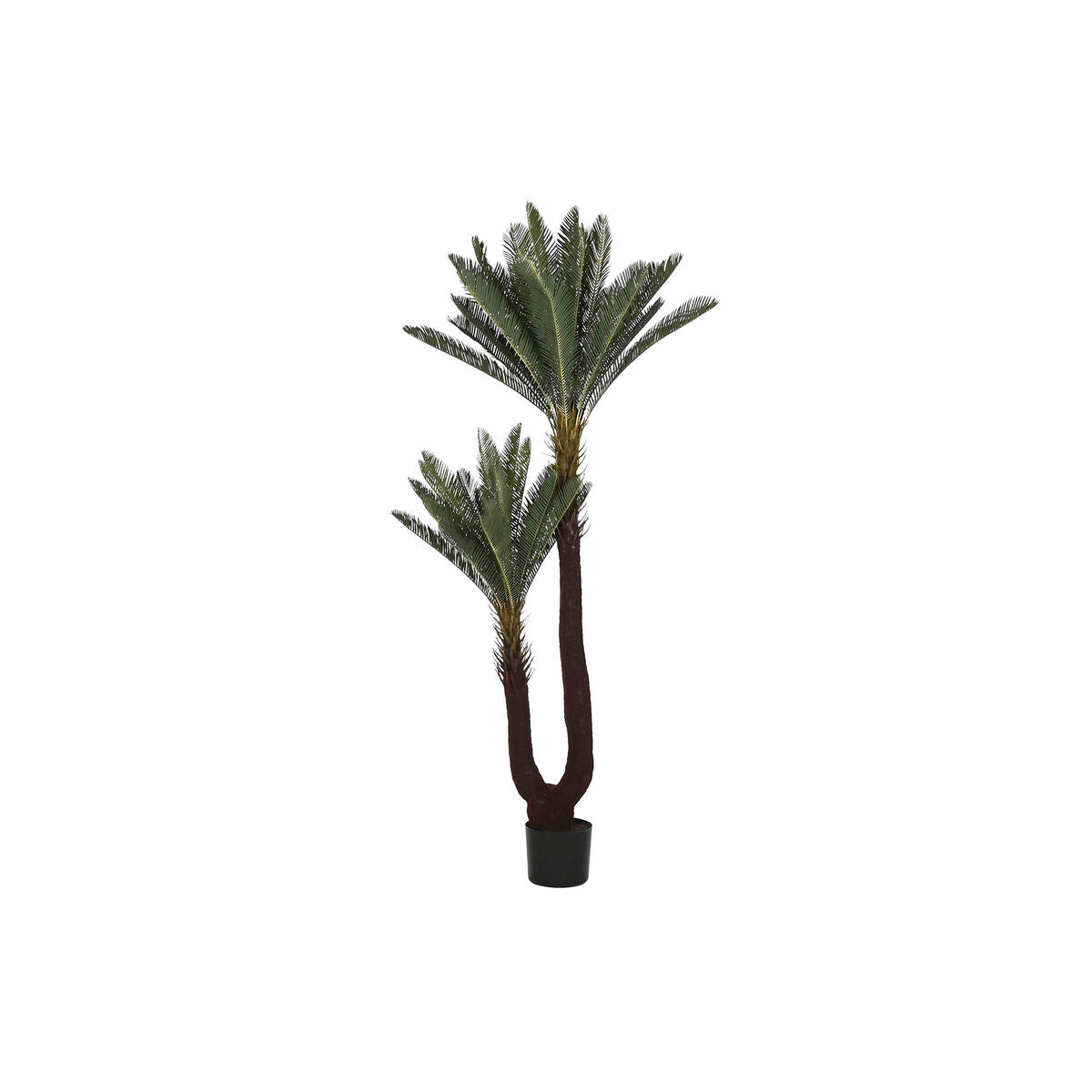 8424002185503 - Dekorationspflanze Polyäthylen Tropical 80 x 80 x 170 cm 8424002185503 - Dekorationspflanze Polyäthylen Tropical 80 x 80 x 170 cm