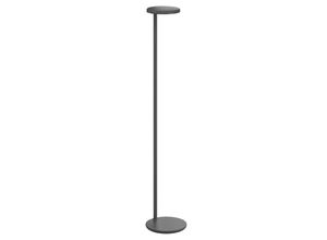 8424229001150 - FLOS Oblique Floor LED-Stehleuchte 927 anthrazit