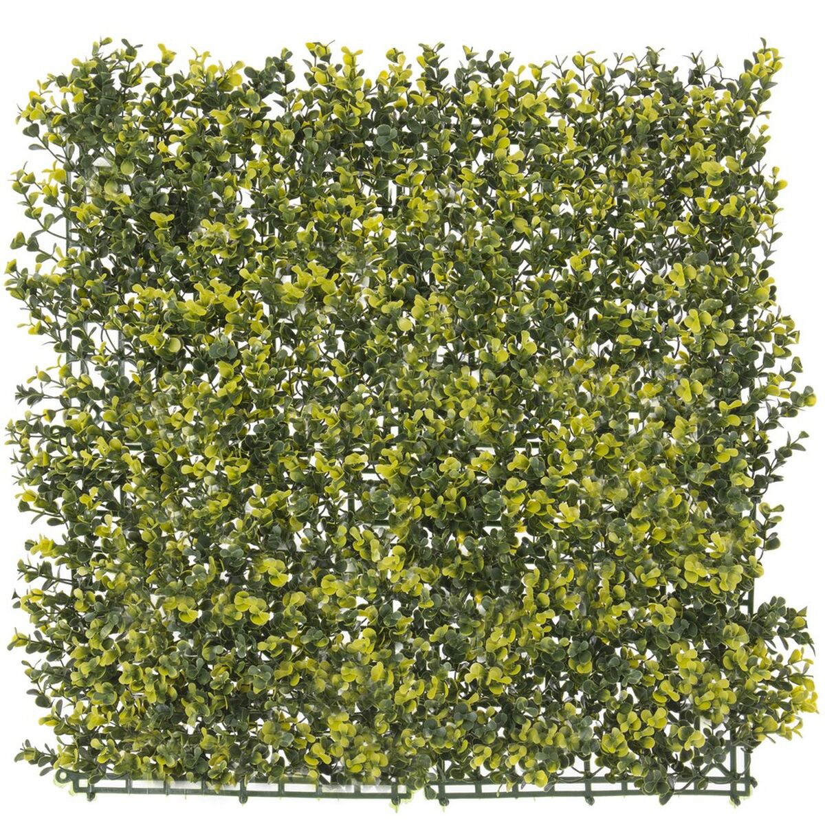 8424345828778 - Zaun   50 x 50 x 2 cm