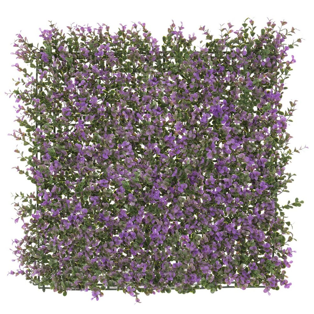 8424345828785 - Zaun Lavendel 50 x 50 x 2 cm 8424345828785 - Zaun Lavendel 50 x 50 x 2 cm