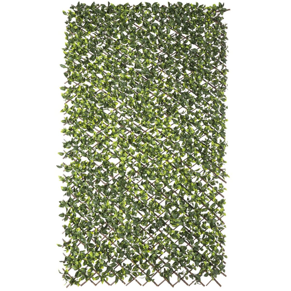 8424345828822 - Lattice Natur Efeu Korbgeflecht Bambus 2 x 200 x 100 cm