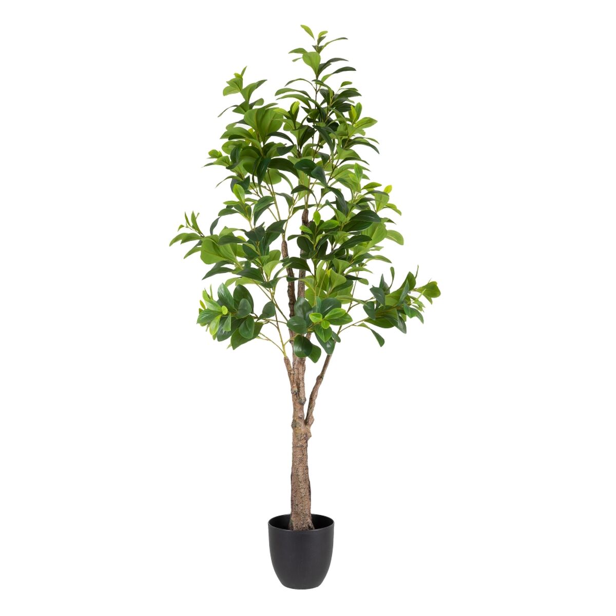 8424346541805 - Dekorationspflanze grün PVC 145 cm Peperomia