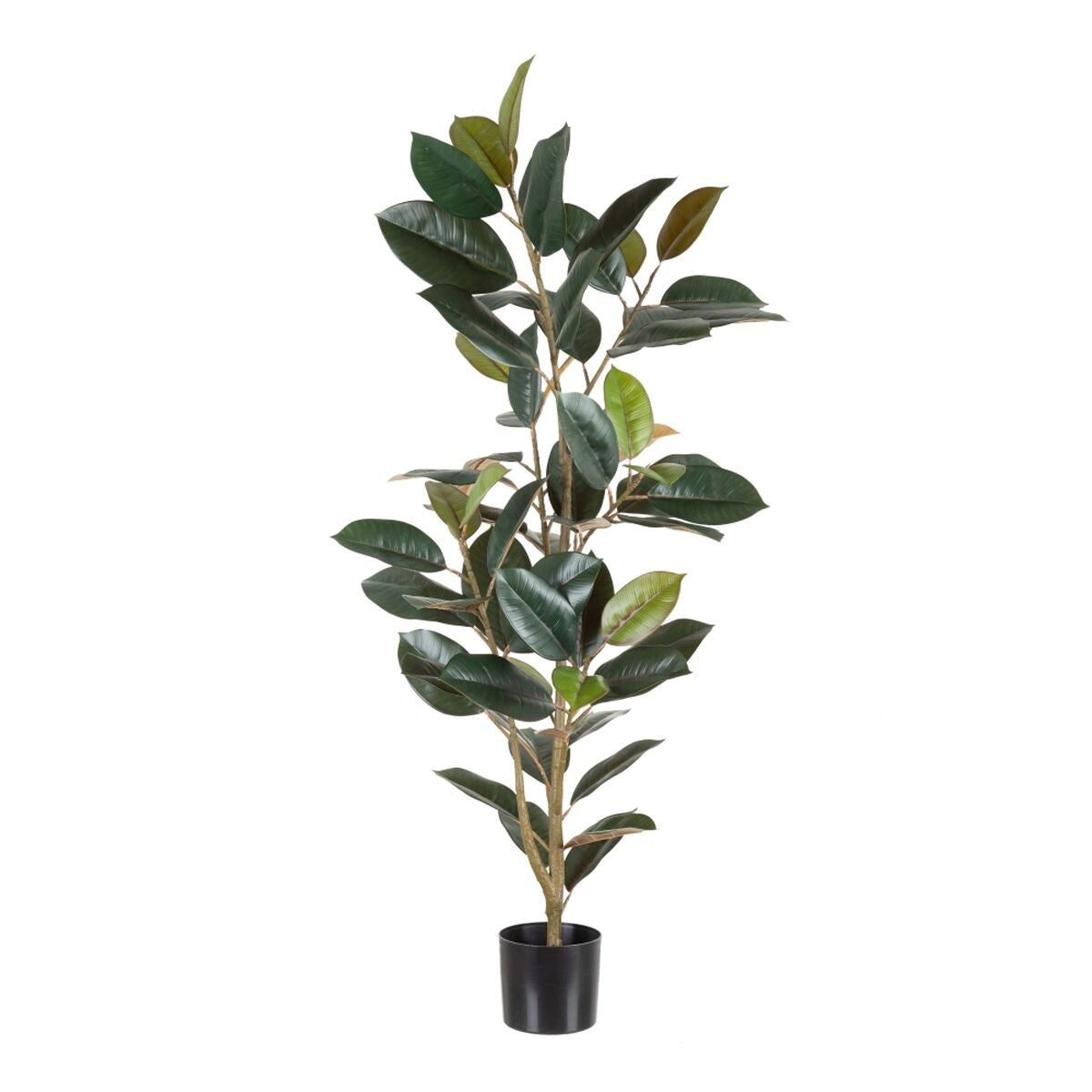 8424346541843 - Dekorationspflanze PVC Eisen Ficus 49 x 45 x 125 cm