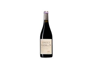 8425402582336 - Cooperativa Agrícola de Cadalso Agricola de Cadalso Syrah 2022 - 75cl