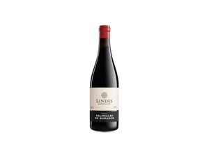 8426771122024 - Lindes de Viñedos de Salinillas de Buradón 2020 - 75cl