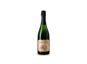 8427663220019 - Blancher Capdevila Pujol Brut Nature 2019 - 75cl