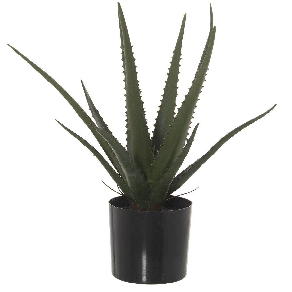 8427701265774 - Dekorationspflanze Kunststoff Aloe Vera 11 x 11 x 39 cm