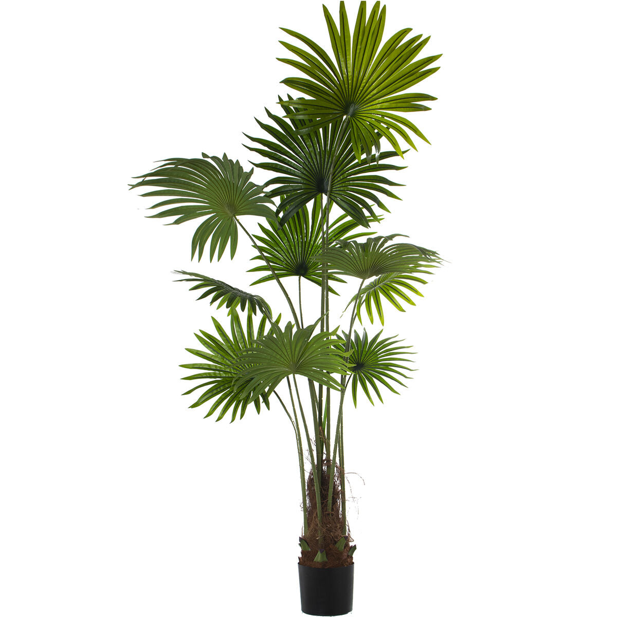 8427701266092 - Dekorationspflanze Kunststoff Palme 180 cm