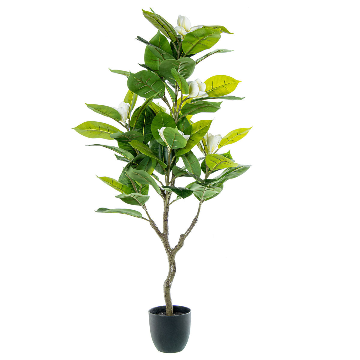 8427701266672 - Dekorationspflanze Kunststoff Magnolia 130 cm