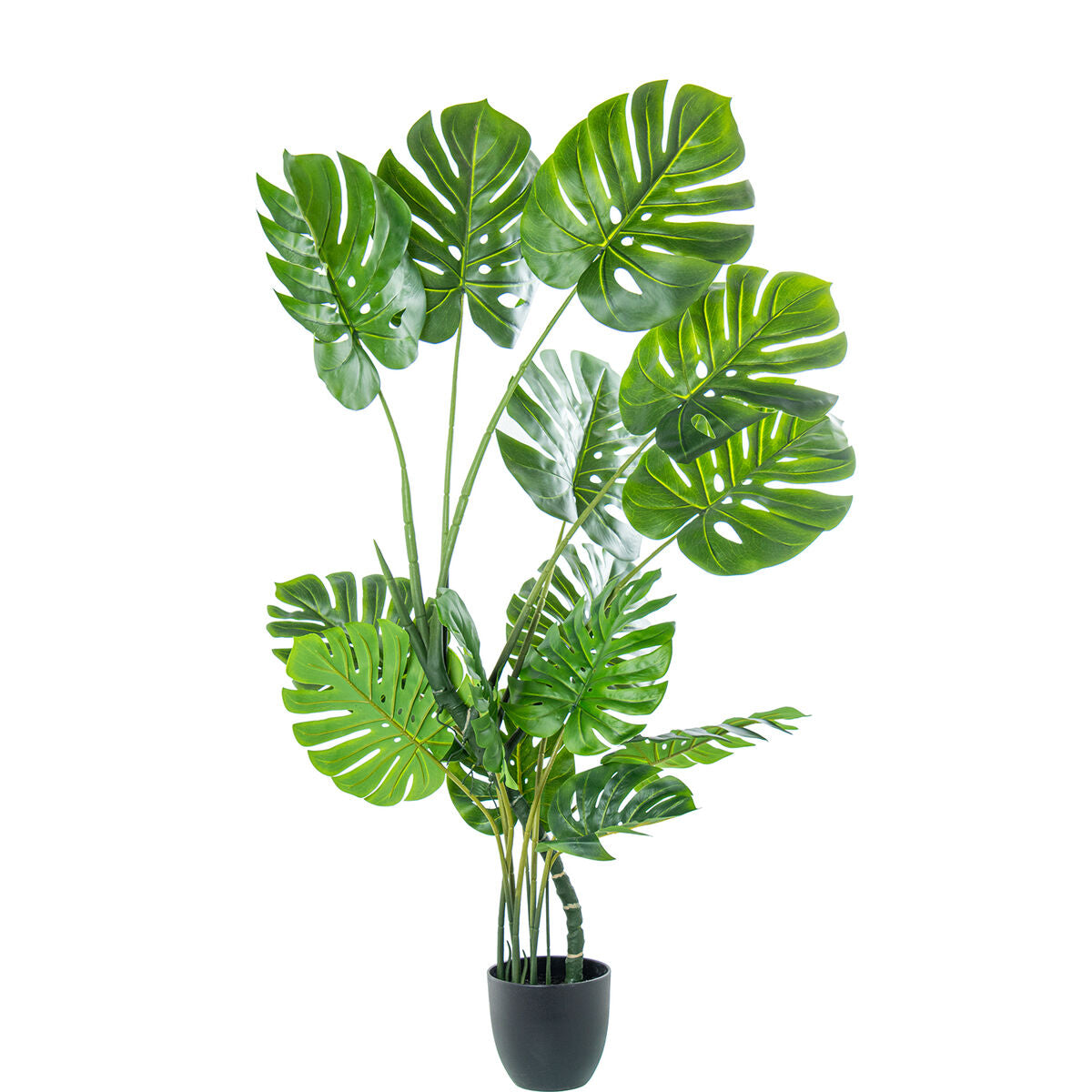 8427701266696 - Dekorationspflanze Kunststoff Monstera 150 cm