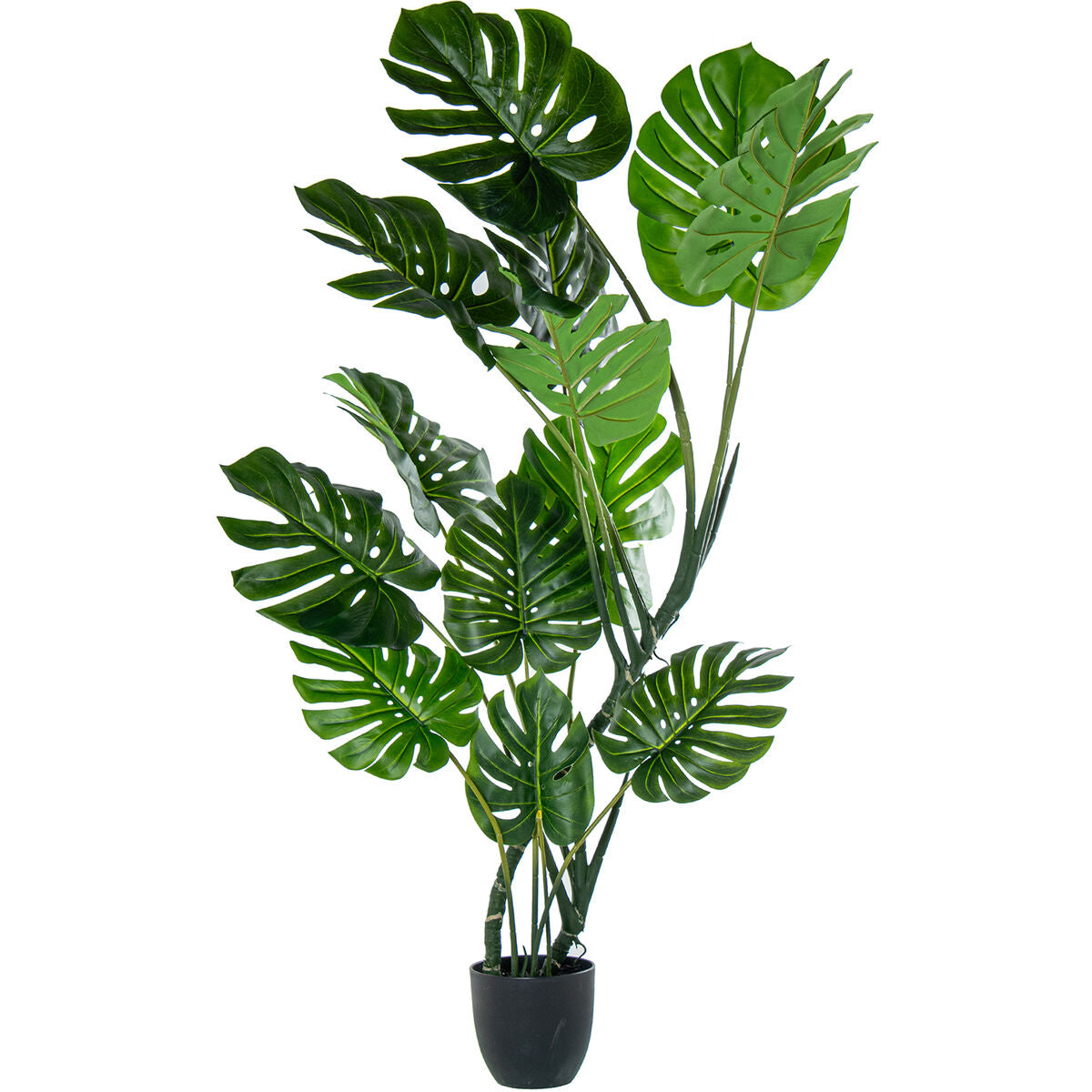 8427701266702 - Dekorationspflanze Kunststoff Monstera 170 cm