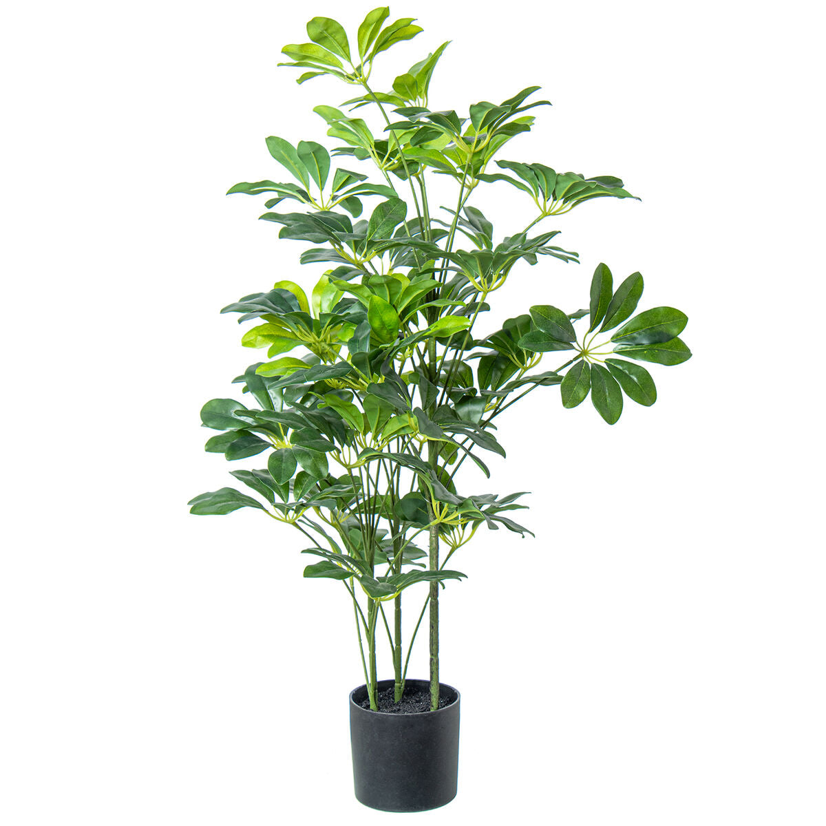 8427701266795 - Dekorationspflanze Kunststoff Schefflera 90 cm