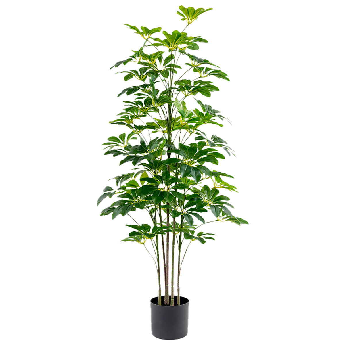 8427701266801 - Dekorationspflanze Kunststoff Schefflera 125 cm