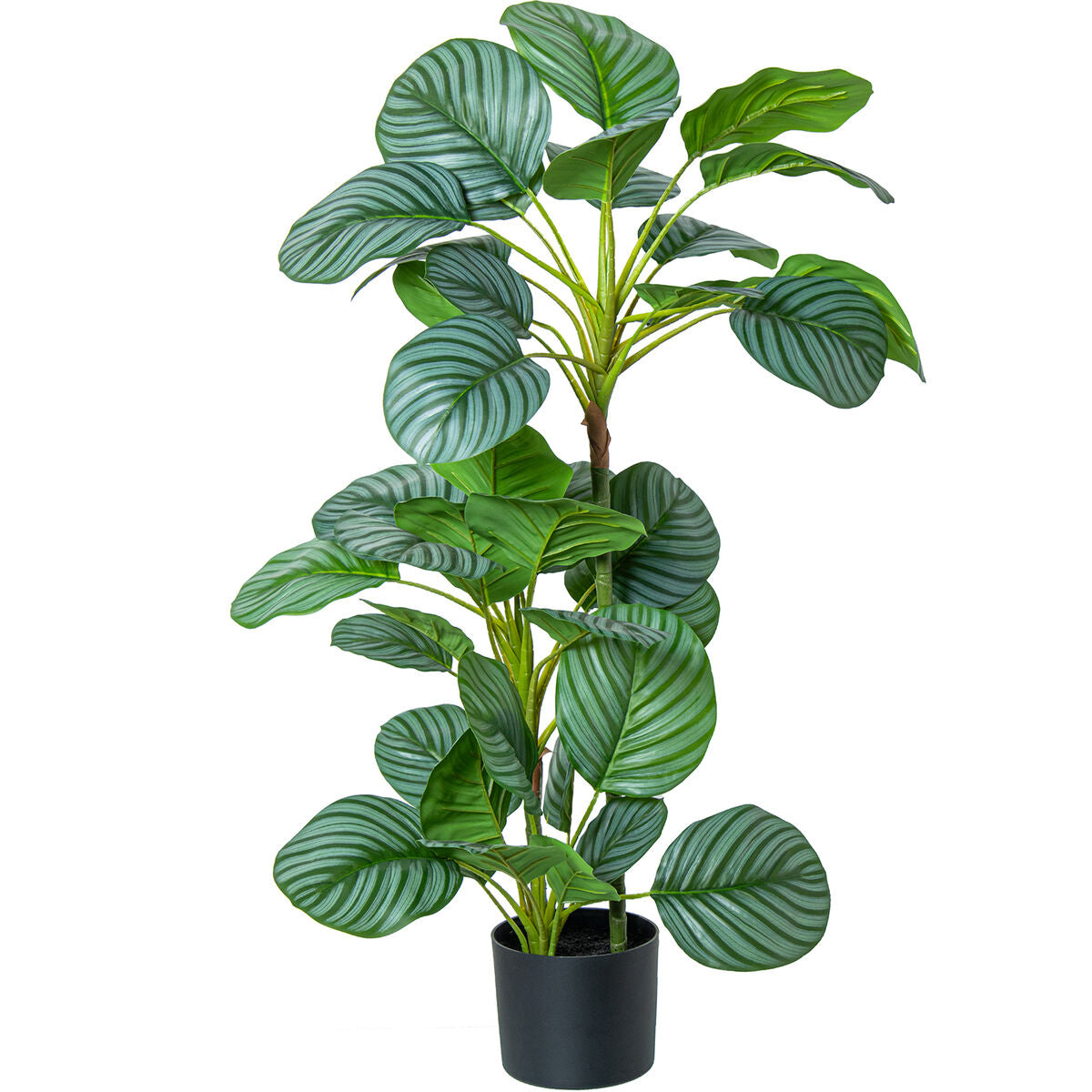 8427701266900 - Dekorationspflanze Kunststoff Calathea 90 cm