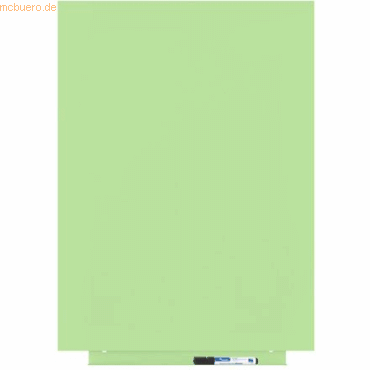 8427951641939 - Skinwhiteboard-Modul lackiert 55x75cm RAL 230-1 hellgrün