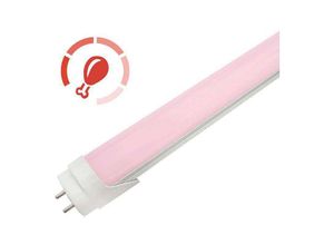 8428350640202 - Led-di - LED-Schlauch led Carnic T8 60cm 10W pink ProFresh