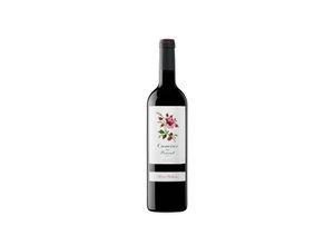 8429073023013 - Camins del Priorat 2022 - 75cl