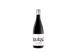 8429758001107 - Can Ràfols dels Caus Terraprima Negre 2018 - 75cl