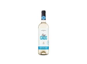 8429758211063 - Can Ràfols dels Caus Petit Caus Blanc 2022 - 75cl