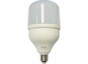 8430552163953 - Electro Dh - LED-Glühbirne E27 40W 230Vac 3200K T120