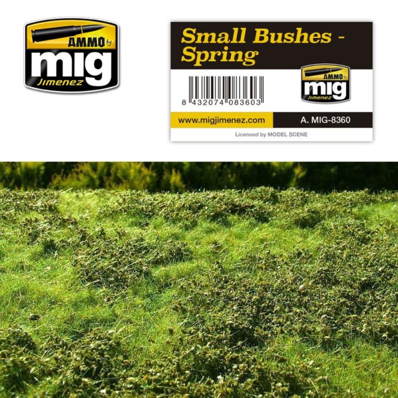 8432074083603 - Small Bushes - Spring