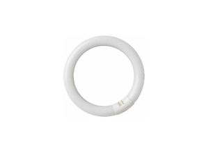 8433373064829 - GSC - Rundleuchtstoffröhre 22W T9 6400K 2000589