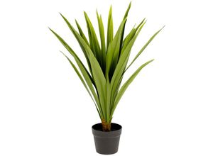 8433840571270 - Zelena Kunstpflanze Yucca - Kave Home