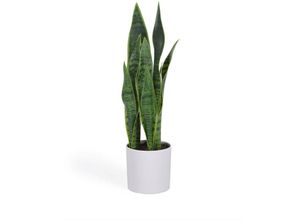 8433840686981 - - Sansevieria Kunstpflanze mit Topf weiß 55 cm - Weiß