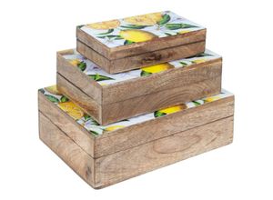 8433933165836 - Signes Grimalt - Küchenbox Setzen Sie 3 Boxen Zitronenkästen und braune Tabletts 25x18x9cm 16583 - Marrón