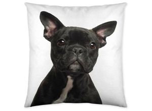 8434211208603 - etérea Dekokissen Kissenhülle Hund Bulldogge Schwarz 40x40 cm - Schwarz