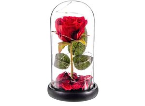 8434504069904 - Rosa red eterna leds cupula cristal 20 cm caison