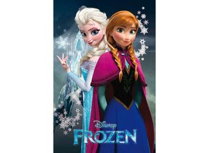 8435107813000 - Grupo Erik - Frozen 2 Poster Elsa & Anna