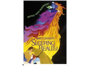 8435107834821 - Dornröschen Poster Disney Sleeping Beauty