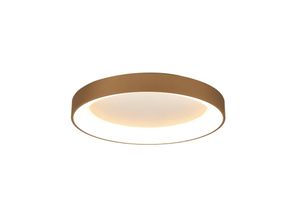 8435153285837 - LED-Deckenlampe Niseko II CCT Fernbedienung Ø65cm goldfarben