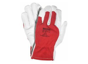 8435231924627 - Wolfpack - Leder- Canvas-Handschuhe mit Aufhänger 8 (Paar)